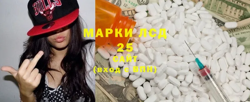 как найти наркотики  Каменка  Лсд 25 экстази ecstasy 